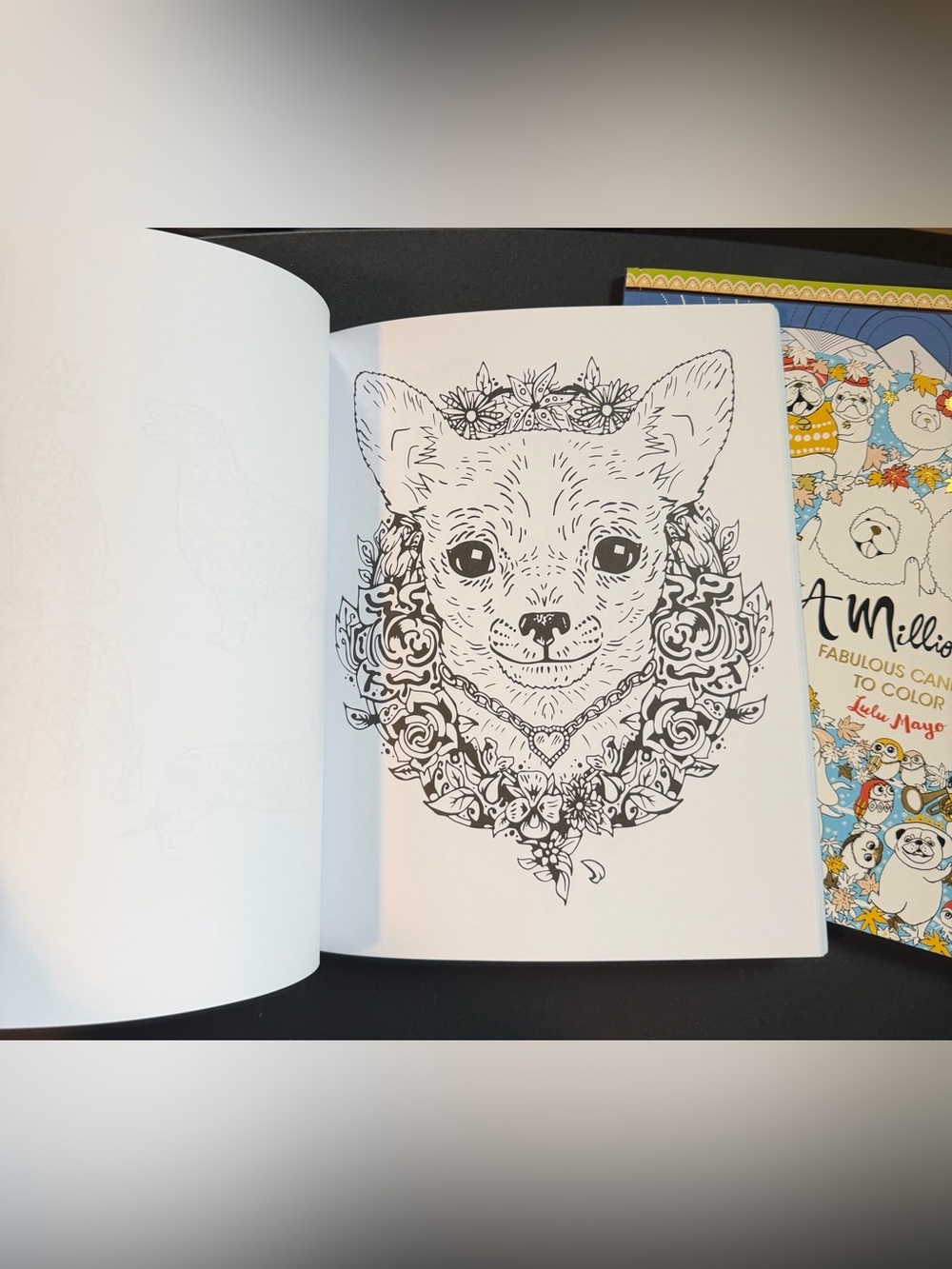 Delightful Dogs Coloring Book Set - Multicolor - Picture 7 of 10